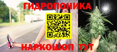 spice Гай