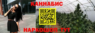 спайс Гагарин