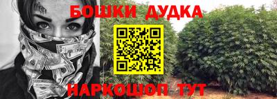 спайс Гагарин
