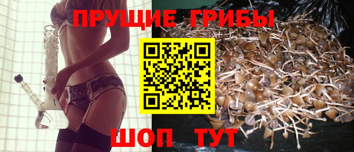 Галлюциногенные грибы MAGIC MUSHROOMS Качканар